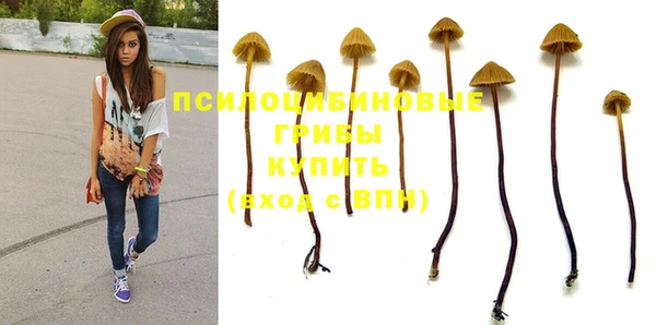 винт Алексеевка