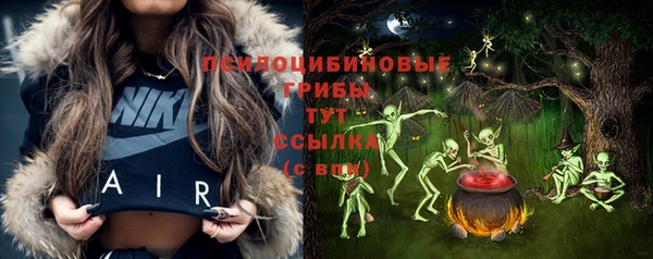 винт Алексеевка
