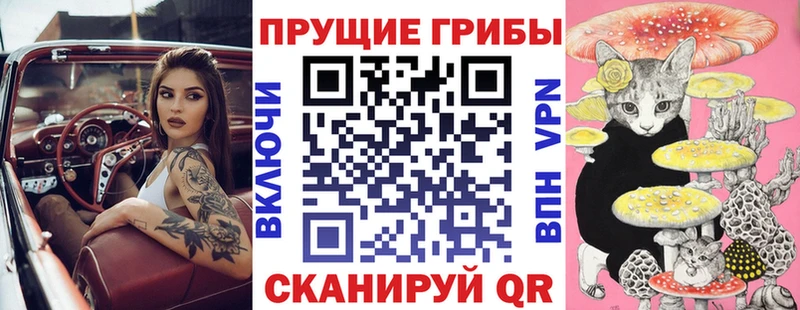 Псилоцибиновые грибы Magic Shrooms Пикалёво